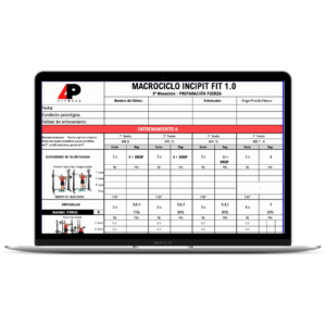 Asesoría online – plan trimestral